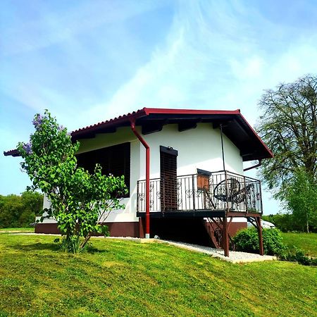 Apartma Kapelski Fant Sveti Jurij ob Scavnici Exterior photo