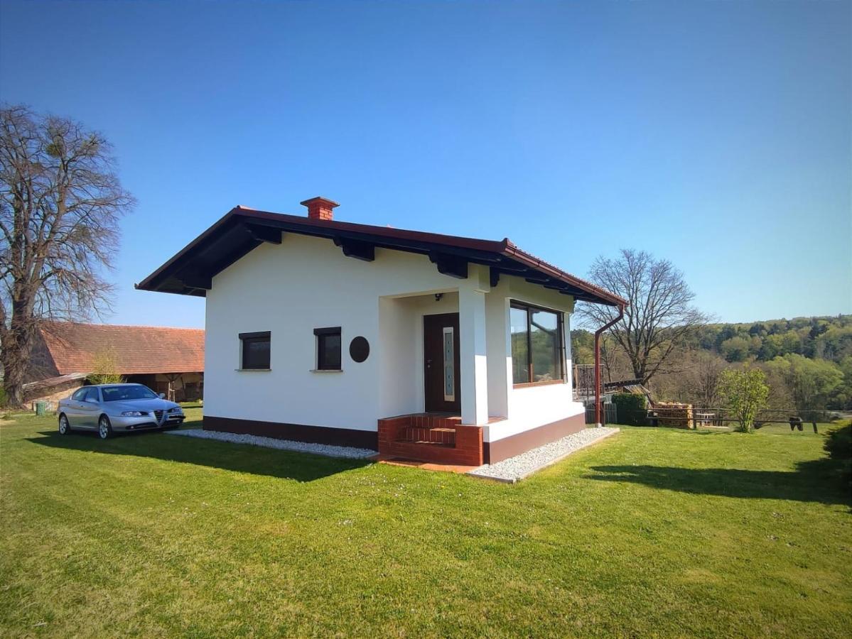 Apartma Kapelski Fant Sveti Jurij ob Scavnici Exterior photo